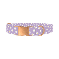 Purple Daisy Pattern Dog Collar - metal rose gold