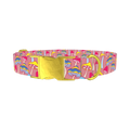Colorful Mushroom Field Dog Collar - metal gold