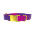 Pink Purple Gradient Dog Collar - metal gold