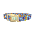 Blue Halloween Witch Hat Dog Collar - plastic gold