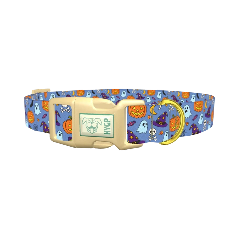 Blue Halloween Witch Hat Dog Collar - plastic gold