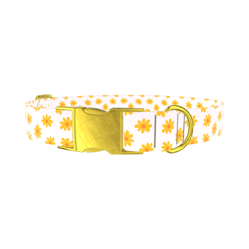 Yellow Daisy Dog Collar - metal gold