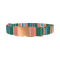 Green Orange Stripe Dog Collar - metal rose gold