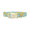 Blue Pineapple Dog Collar - plastic silver