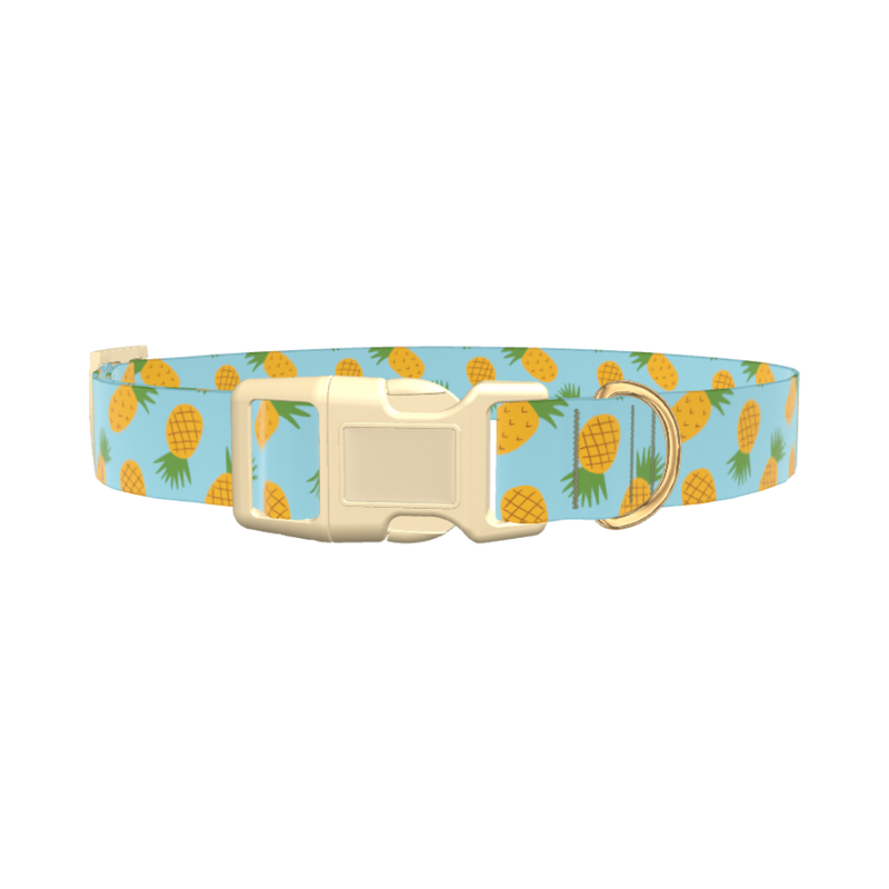 Blue Pineapple Dog Collar - plastic silver
