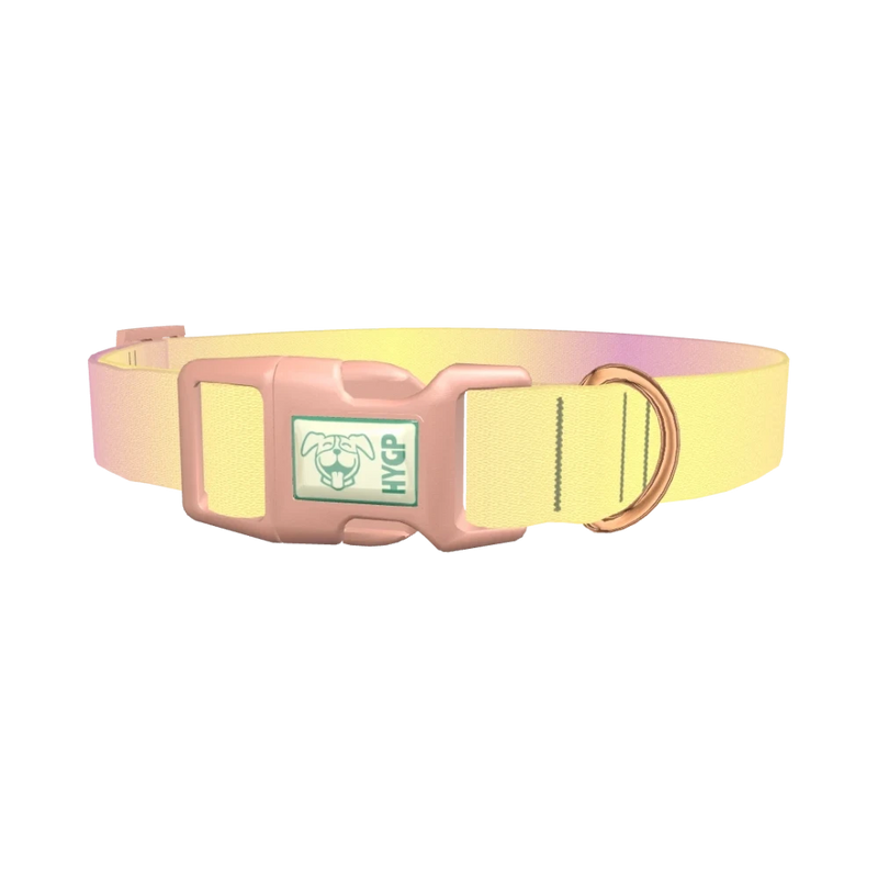 Sunset Gradient Dog Collar - plastic rose gold