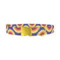 Colorful Burst Dog Collar - metal gold
