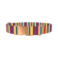 Yellow Purple Stripe Dog Collar - metal rose gold