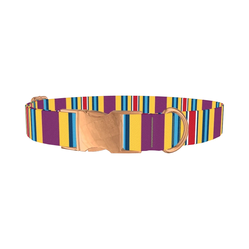 Yellow Purple Stripe Dog Collar - metal rose gold
