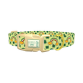 Leprechaun Rainbow Dog Collar - plastic gold