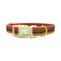 Autumn Stripes Dog Collar - plastic gold