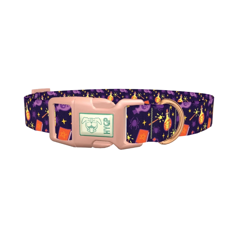 Halloween Witch Potion Dog Collar - plastic rose gold