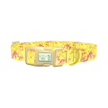Yellow Abstract Splatter Dog Collar - plastic gold