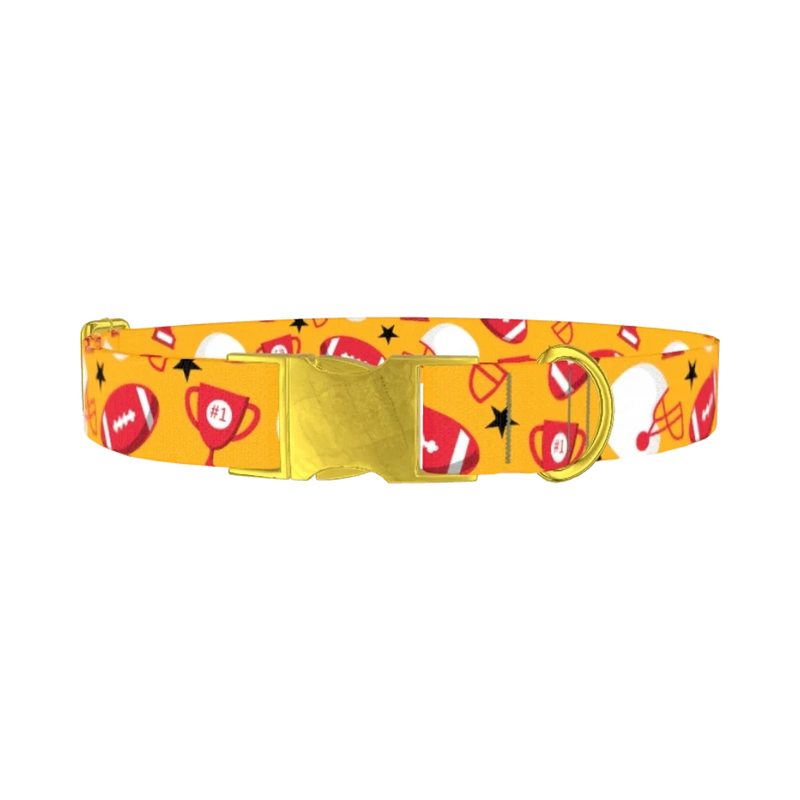 Football Trophy Dog Collar - metal gold