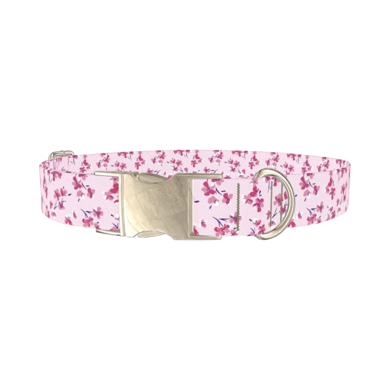 Floral Cherry Blossom Dog Collar - metal silver