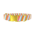 Colorful Diagonal Stripe Dog Collar - metal rose gold