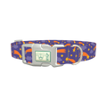 Space Comet Dog Collar - plastic silver