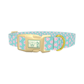 Pastel Valentine Heart Dog Collar - plastic gold