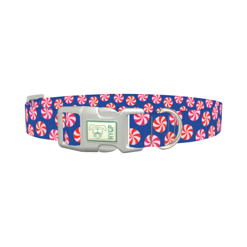 Blue Peppermint Swirl Dog Collar - plastic silver