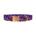 Tropical Sunset Dog Collar - metal rose gold