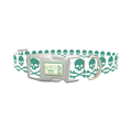 Skull and Crossbones Dog Collar - plastic silver