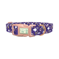 Purple Graveyard Halloween Dog Collar - plastic rose gold