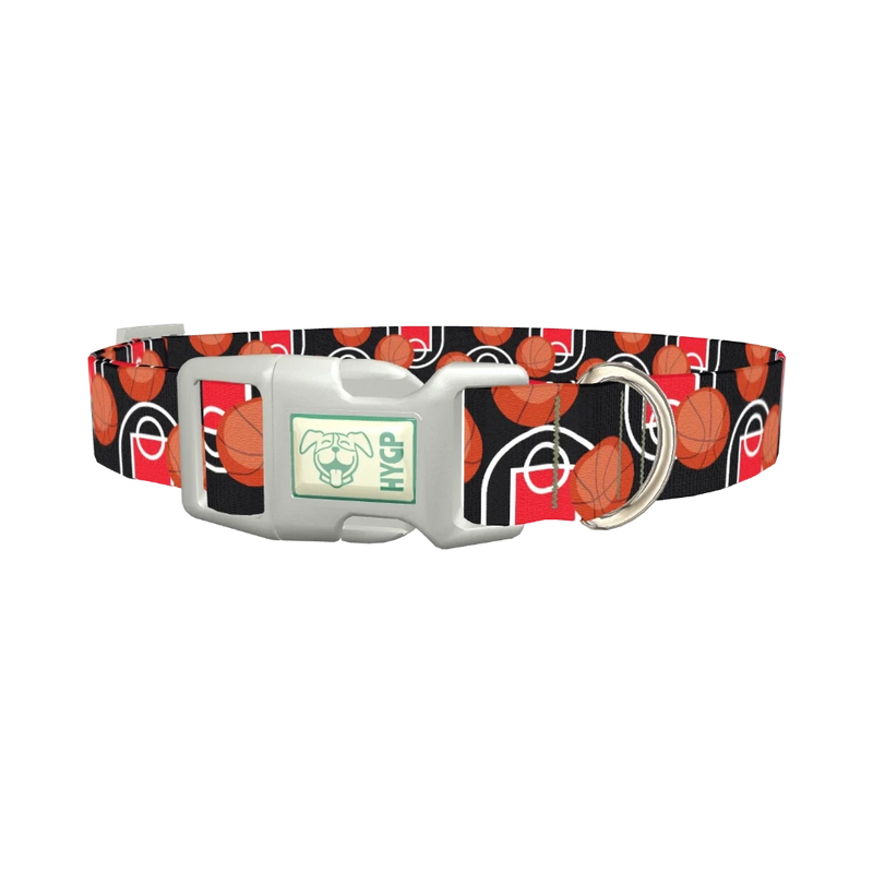 Basketball Court Dog Collar - plastic silver