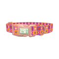 Colorful Heart and Star Dog Collar - plastic rose gold