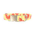 Citrus Fruit Dog Collar - metal silver