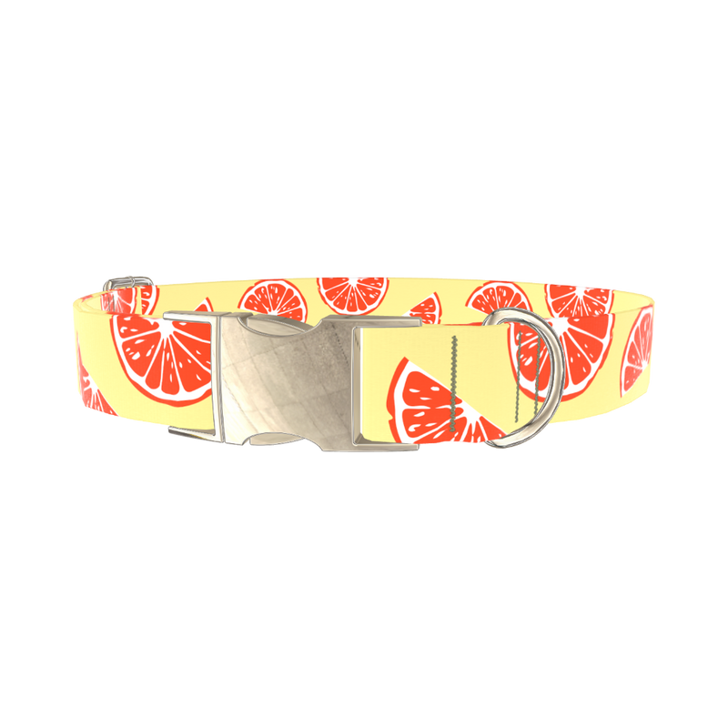 Citrus Fruit Dog Collar - metal silver