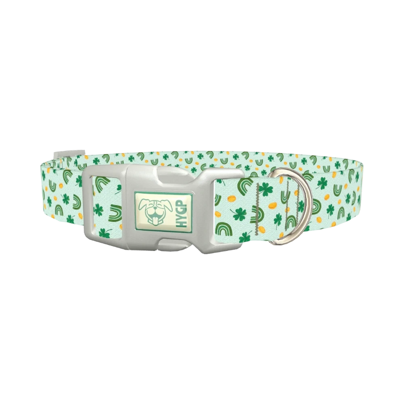 St. Patrick's Day Rainbow Dog Collar - plastic silver