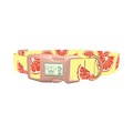 Citrus Fruit Dog Collar - plastic rose gold