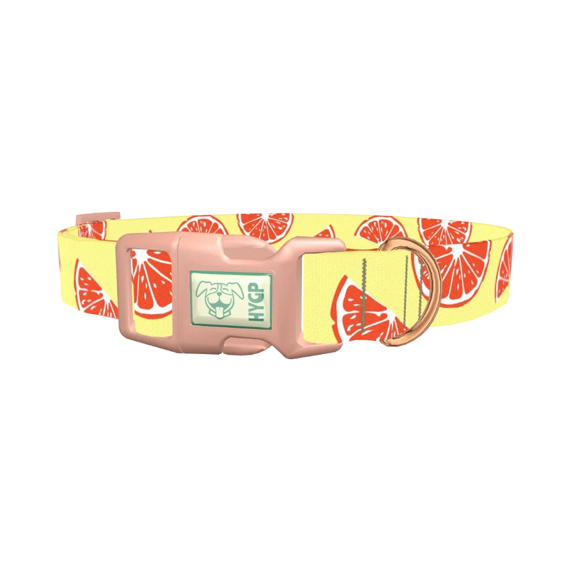 Citrus Fruit Dog Collar - plastic rose gold