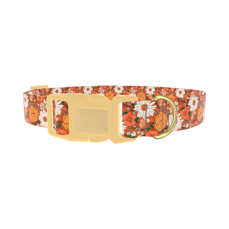 Autumn Floral Dog Collar - plastic gold