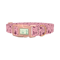 Halloween Palmistry Dog Collar - plastic rose gold