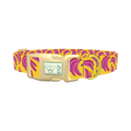 Fruit Banana Dog Collar - plastic gold