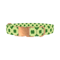 Clover Chevron Dog Collar - metal rose gold