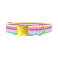 Pastel Striped Dog Collar - metal gold