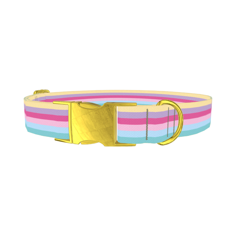 Pastel Striped Dog Collar - metal gold