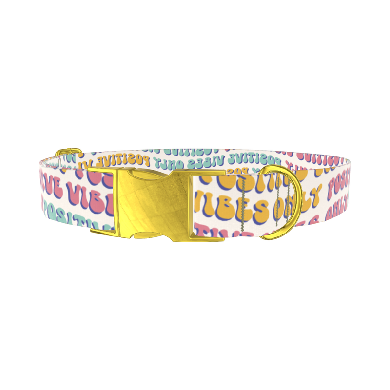 Positive Vibes Text Dog Collar - metal gold