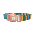 Green Orange Stripe Dog Collar - plastic rose gold