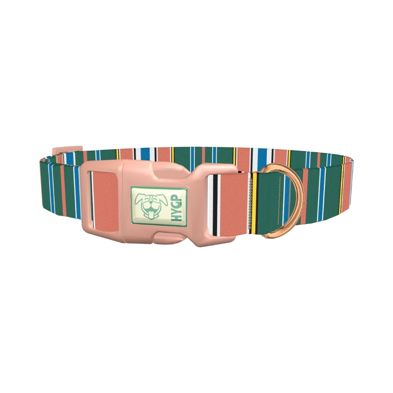 Green Orange Stripe Dog Collar - plastic rose gold