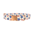 Striped Stars Dog Collar - metal rose gold