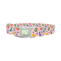 Dinosaur Mix Dog Collar - plastic silver