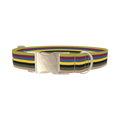 Color Stripe Dog Collar - metal silver