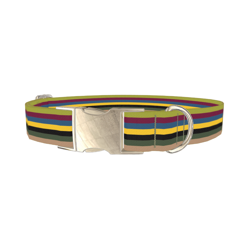 Color Stripe Dog Collar - metal silver