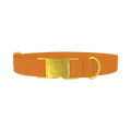 Status Bronze Color Dog Collar - metal gold