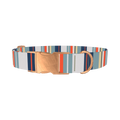 Beige Blue Stripe Dog Collar - metal rose gold
