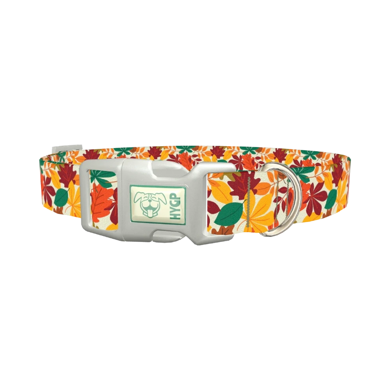 Multicolor Leaf Pattern Dog Collar - plastic silver