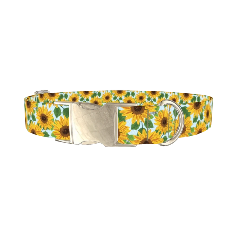 Sunflower Garden Dog Collar - metal silver